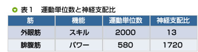 表1　運動単位数と神経支配比